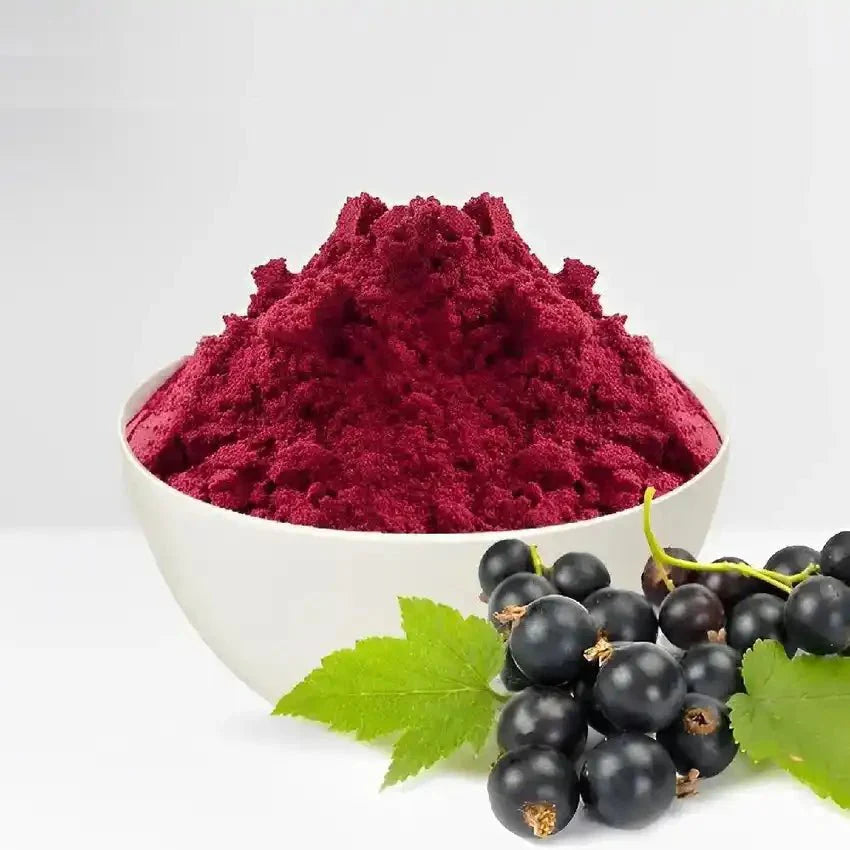 Black - Currant Powder  - Bulk Supplier India  - shop_name