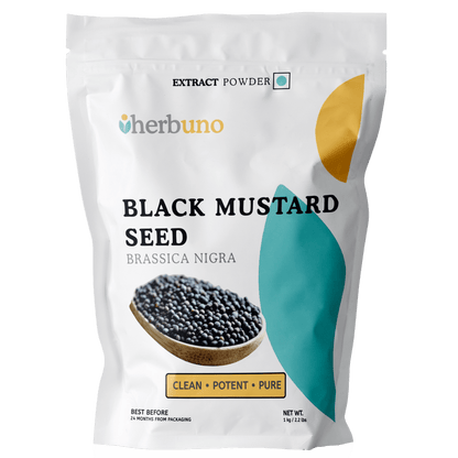 Black Mustard Extract Powder - Brassica Nigra| Kali Sarson Powder - Bulk Supplier India