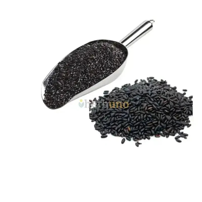 Black Rice Extract — Oryza sativa| Kala Chawal Powder - Bulk Supplier India