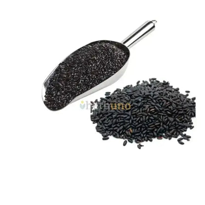 Black Rice Extract — Oryza sativa| Kala Chawal Powder - Bulk Supplier India