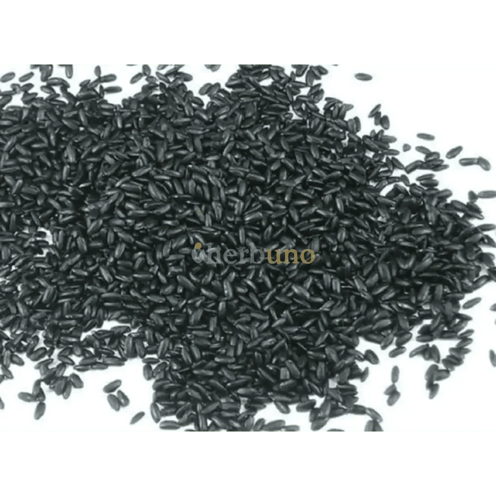 Black Rice Extract — Oryza sativa| Kala Chawal Powder - Bulk Supplier India