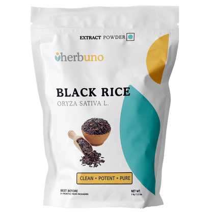 Black Rice Extract — Oryza sativa| Kala Chawal Powder - Bulk Supplier India