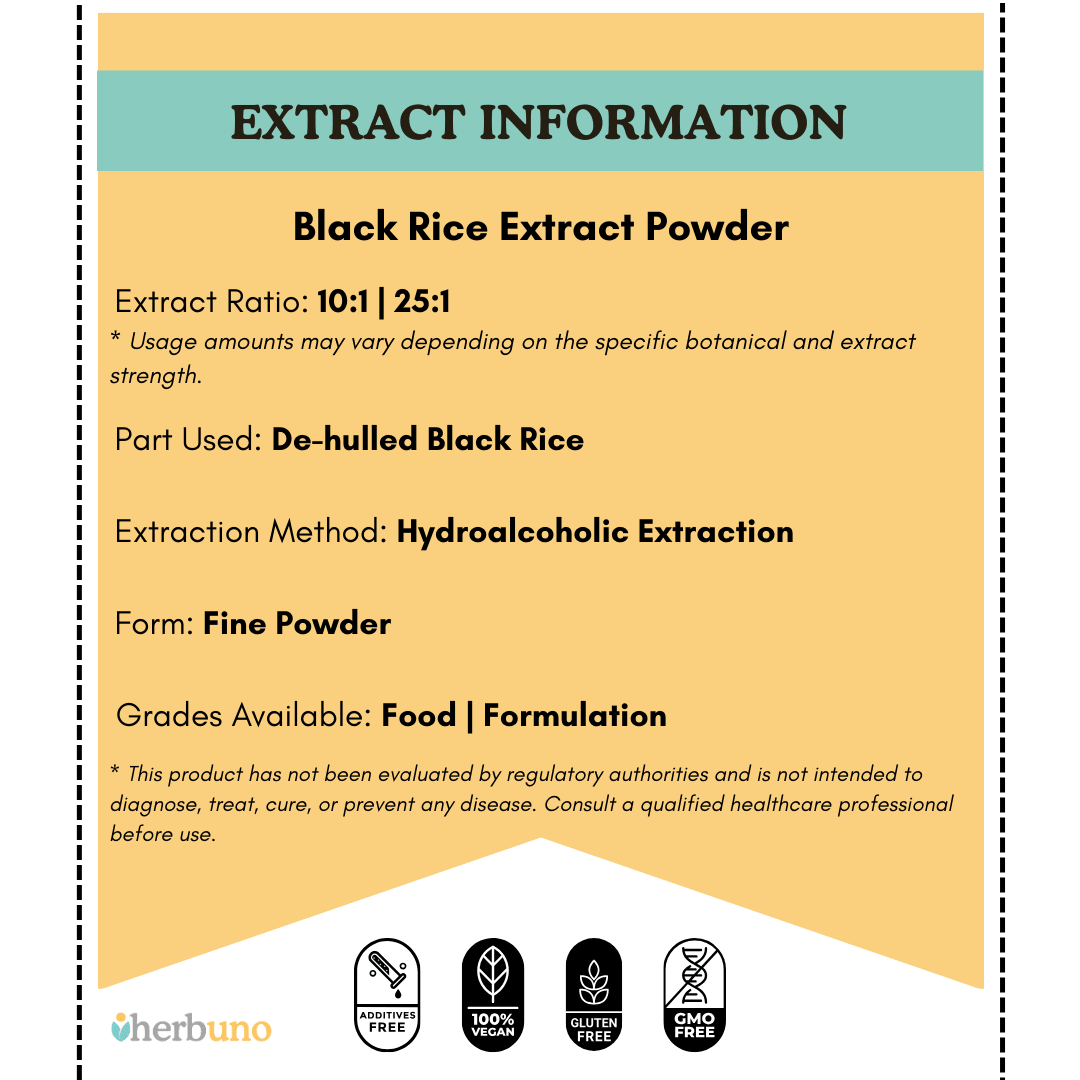Black Rice Extract — Oryza sativa| Kala Chawal Powder - Bulk Supplier India