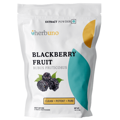 Blackberry Fruit Extract Powder - Rubus fruticosus - Bulk Supplier India