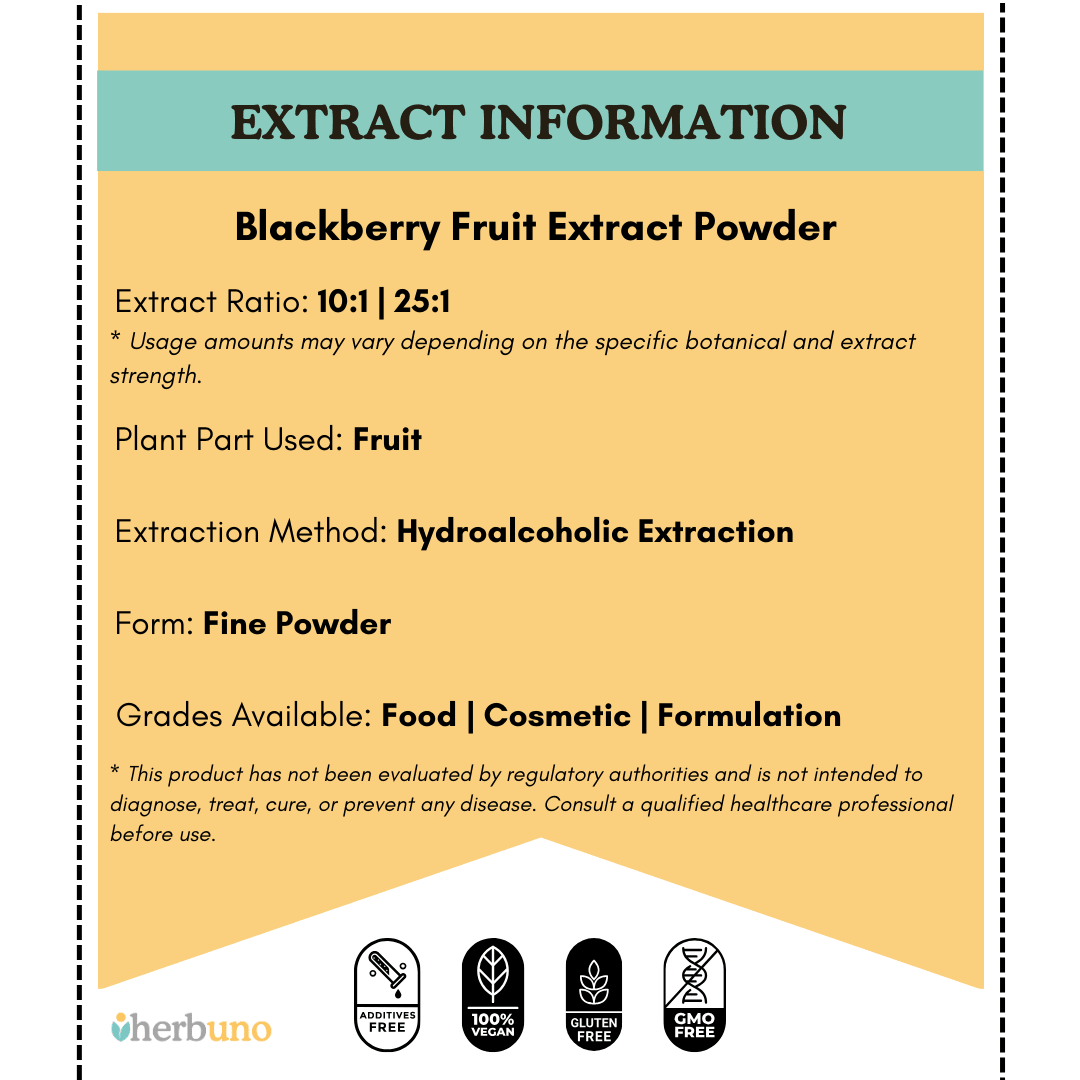 Blackberry Fruit Extract Powder - Rubus fruticosus - Bulk Supplier India