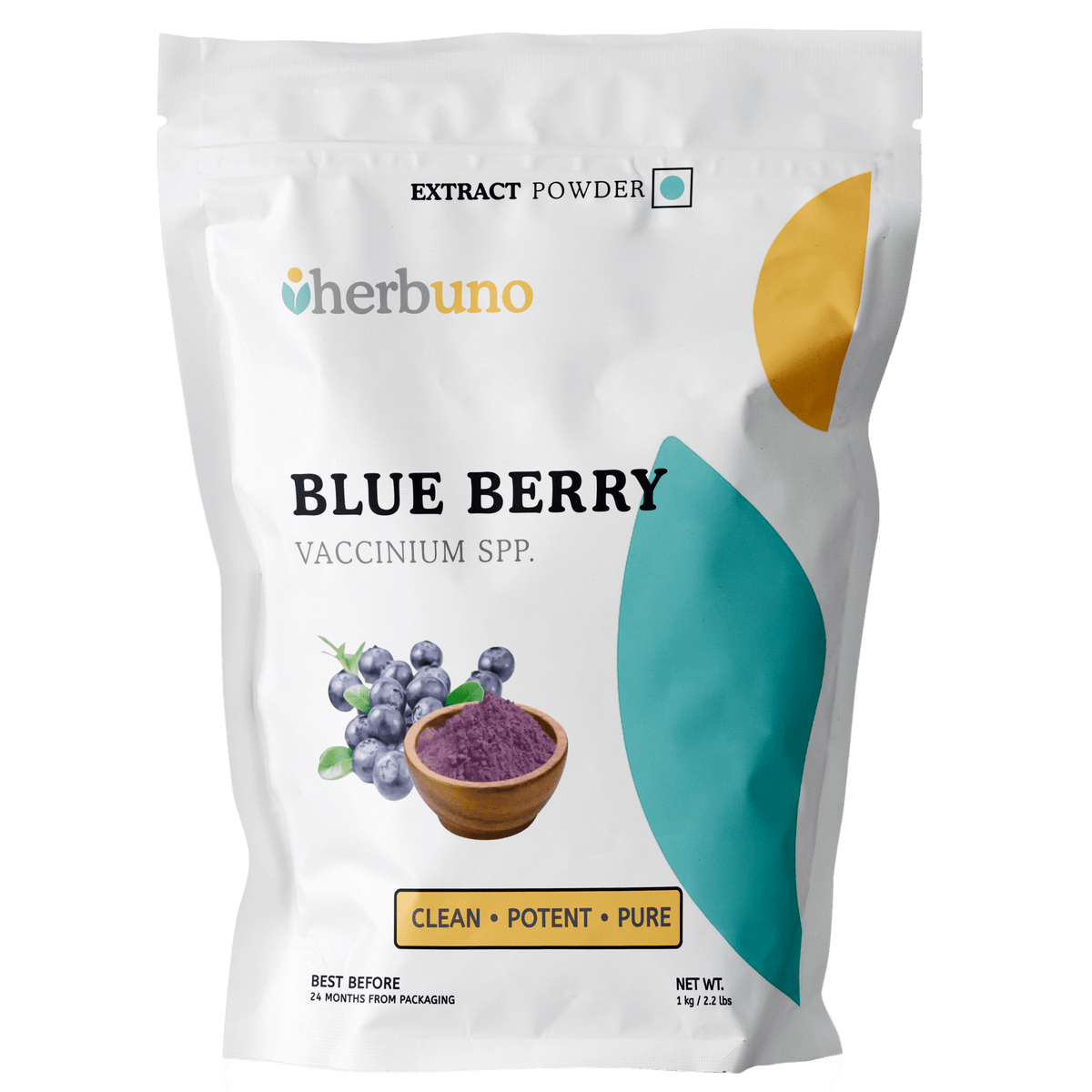 Blueberry Extract Powder - Vaccinium corymbosum - Bulk Supplier India