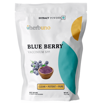 Blueberry Extract Powder - Vaccinium corymbosum - Bulk Supplier India