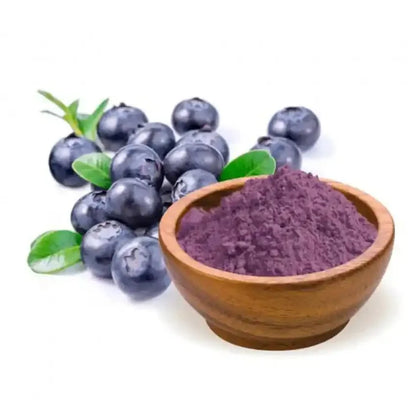 Blueberry Extract Powder - Vaccinium corymbosum  - Bulk Supplier India  - shop_name