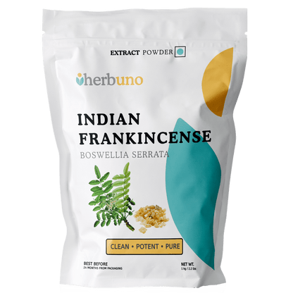 Boswellia serrata (Indian Frankincense) Extract Powder | Shallaki - Bulk Supplier India