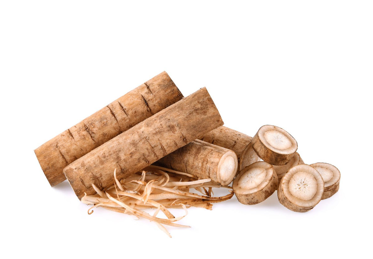 Burdock Root Extract Powder - Arctium lappa - Bulk Supplier India