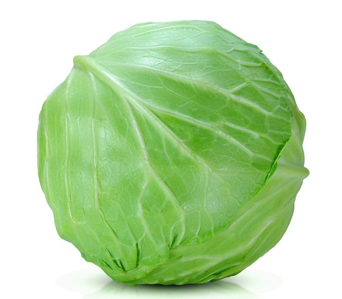 Cabbage Liquid Extract (Water Soluble) - Brassica oleracea - Bulk Supplier India