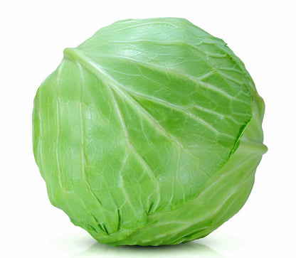Cabbage Liquid Extract (Water Soluble) - Brassica oleracea - Bulk Supplier India