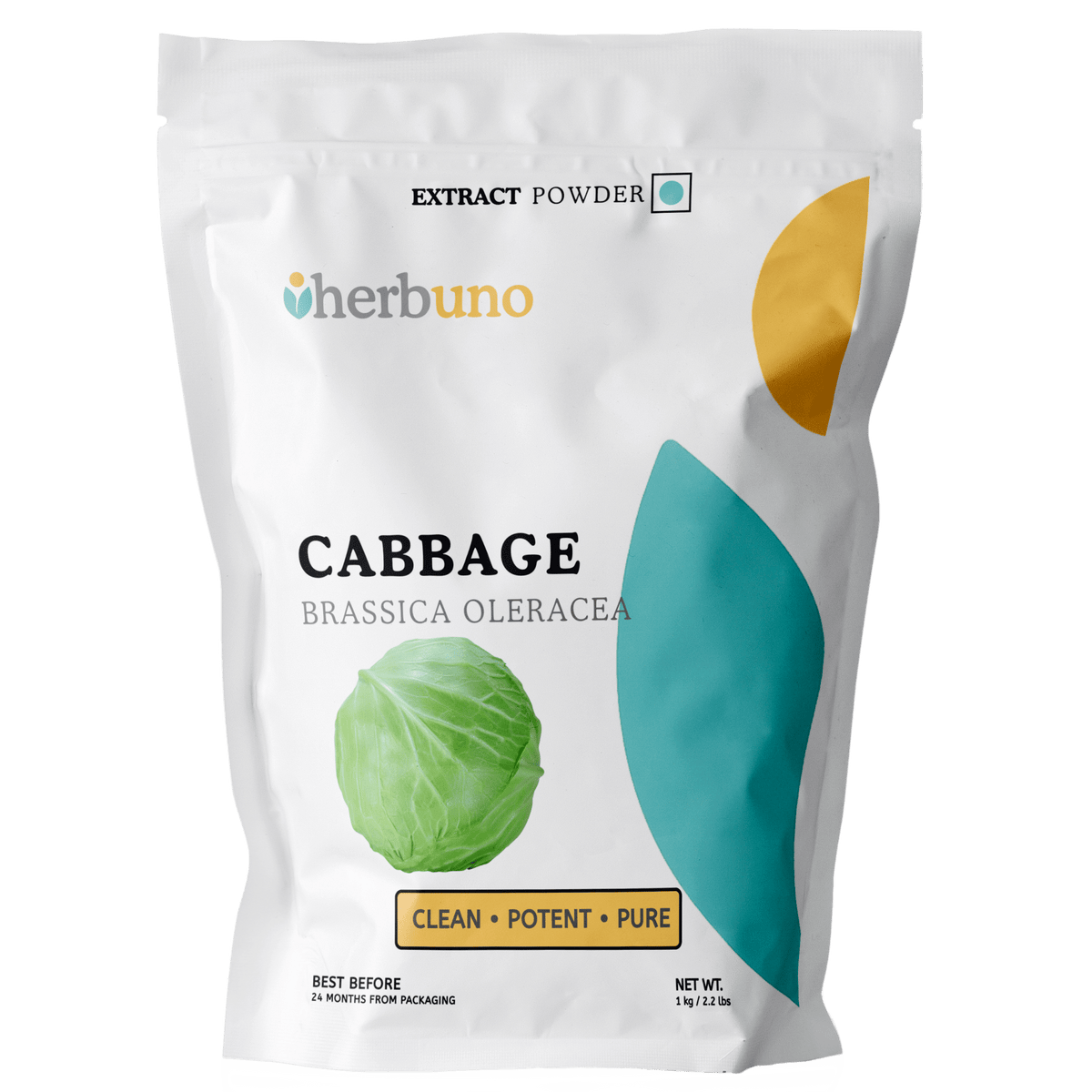 Cabbage Extract Powder - Brassica oleracea - Bulk Supplier India