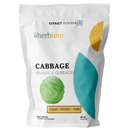 Cabbage Extract Powder - Brassica oleracea - Bulk Supplier India