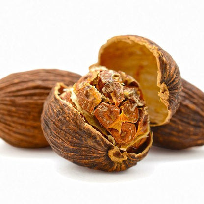 Cao Dou Kou Seed Liquid Extract (Water Soluble) - Alpinia katsumadai - Bulk Supplier India
