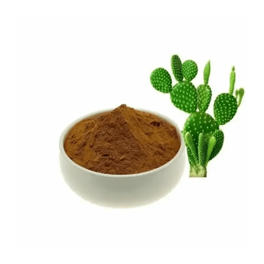 Caralluma Fimbriata Extract Powder - Bulk Supplier India