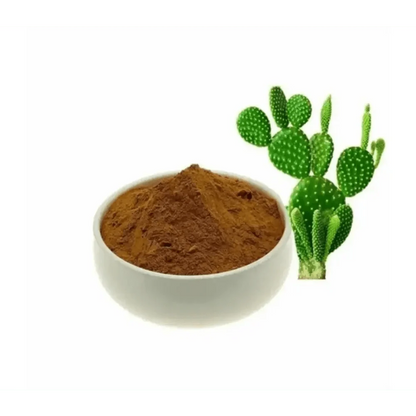 Caralluma Fimbriata Extract Powder - Bulk Supplier India