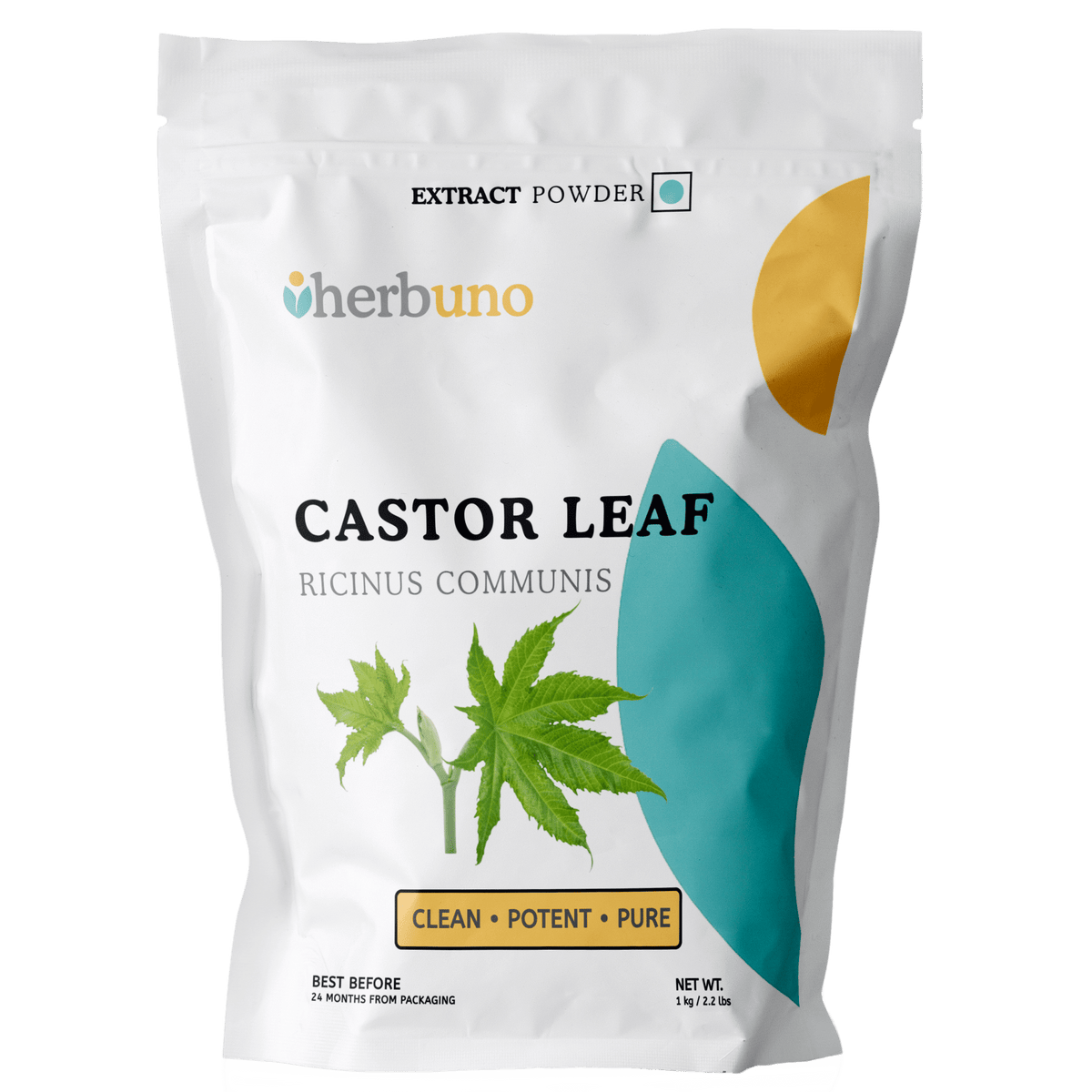Castor Leaf Extract Powder - Ricinus Communis Linn| Arandi Patta Powder - Bulk Supplier India