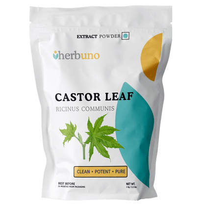 Castor Leaf Extract Powder - Ricinus Communis Linn| Arandi Patta Powder - Bulk Supplier India