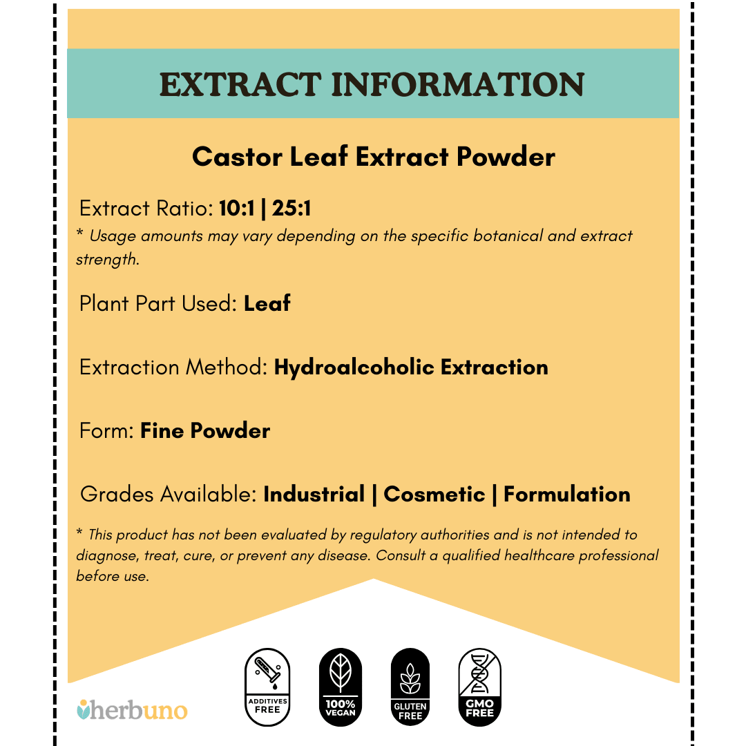 Castor Leaf Extract Powder - Ricinus Communis Linn| Arandi Patta Powder - Bulk Supplier India