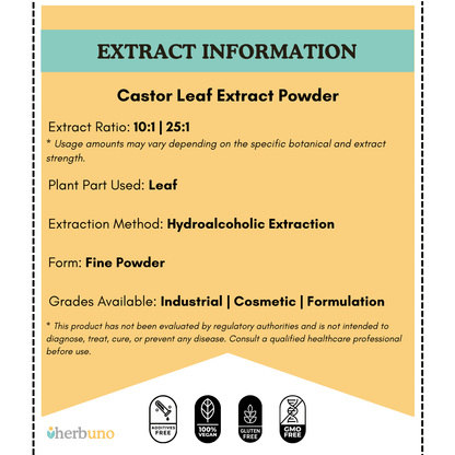 Castor Leaf Extract Powder - Ricinus Communis Linn| Arandi Patta Powder - Bulk Supplier India