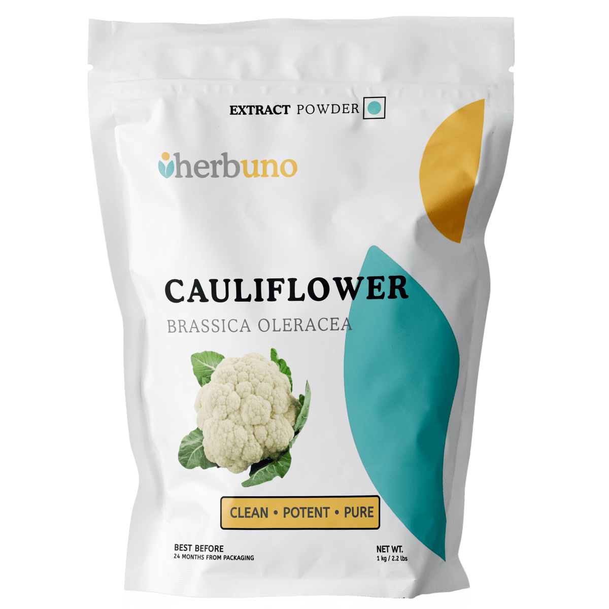 Cauliflower Extract Powder - Brassica oleracea - Bulk Supplier India
