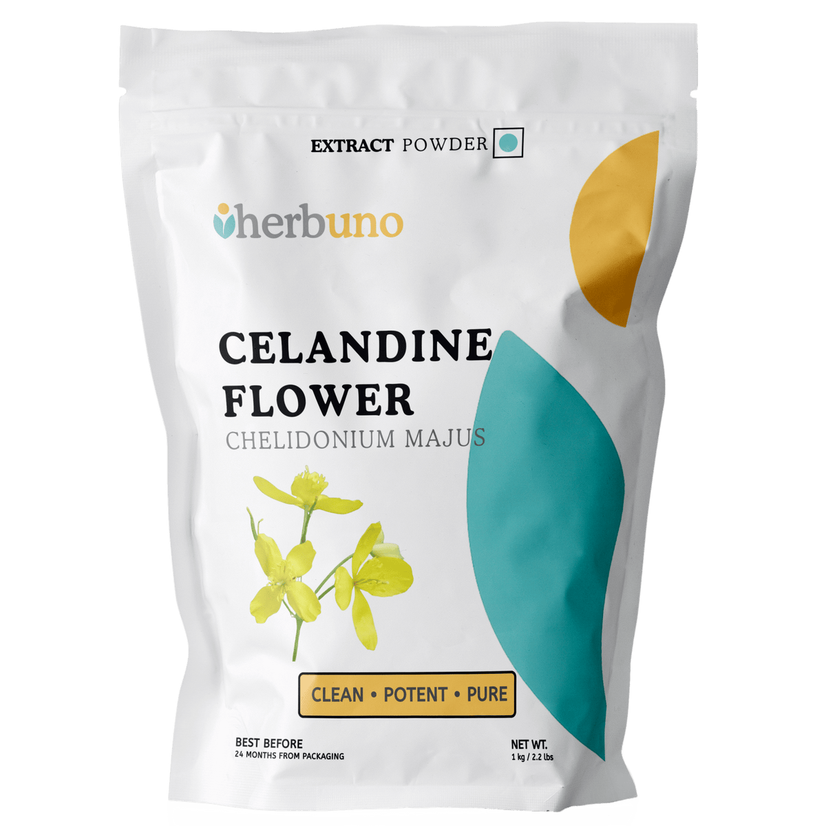 Celandine Extract Powder - Chelidonium majus - Bulk Supplier India