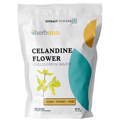 Celandine Extract Powder - Chelidonium majus - Bulk Supplier India