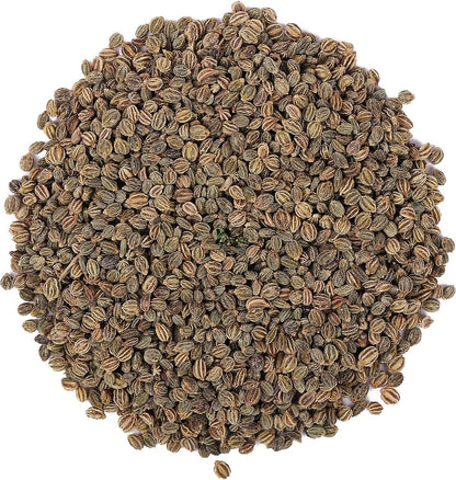 Celery Seed Extract Powder - Apium graveolens - Bulk Supplier India