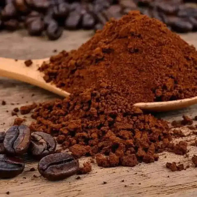 Chicory Root Liquid Extract (Water Soluble) - Cichorium intybus  - Bulk Supplier India  - shop_name