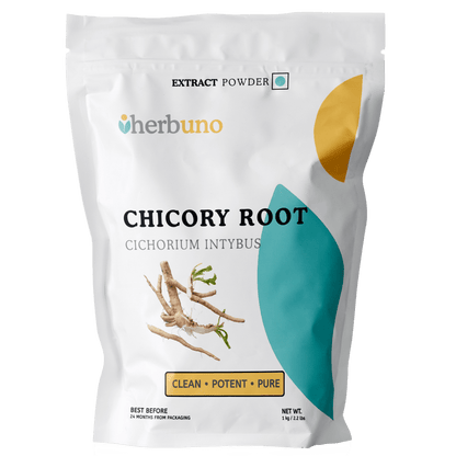 Chicory Root Extract Powder - Cichorium intybus| Kasni Jad Powder - Bulk Supplier India