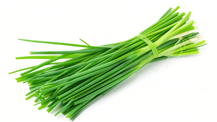 Chive Liquid Extract (Water Soluble) - Allium schoenoprasum - Bulk Supplier India