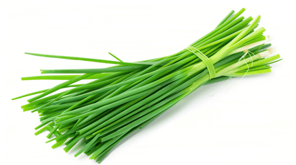 Chive Liquid Extract (Water Soluble) - Allium schoenoprasum - Bulk Supplier India