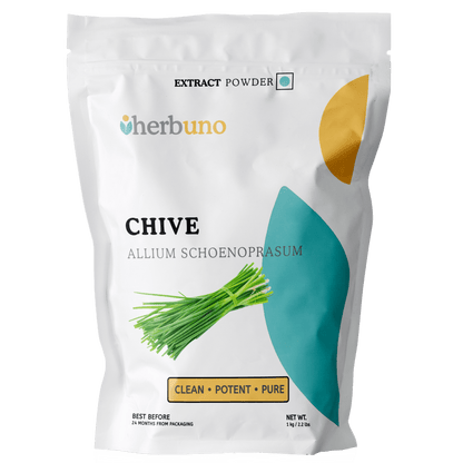 Chive Extract Powder - Allium schoenoprasum - Bulk Supplier India