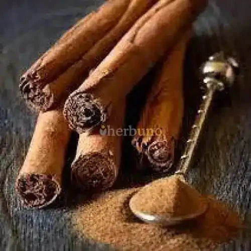 Cinnamon Bark Liquid Extract (Water Soluble) - Cinnamomum zeylanicum  - Bulk Supplier India  - shop_name