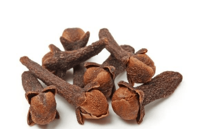 Clove Liquid Extract (Water Soluble) - Syzygium aromaticum| Laung Ras - Bulk Supplier India