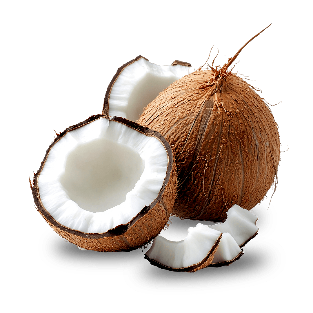 Coconut Liquid Extract (Water Soluble) - Cocos nucifera L  - Bulk Supplier India  - shop_name