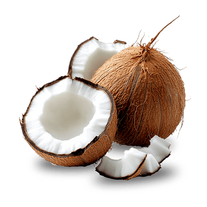 Coconut Liquid Extract (Water Soluble) - Cocos nucifera L  - Bulk Supplier India  - shop_name