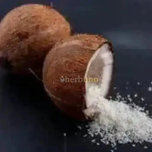 Coconut Water Powder  - Bulk Supplier India  - shop_name