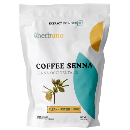 Coffee Senna Extract Powder - Senna occidentalis | Sonamukhi - Bulk Supplier India