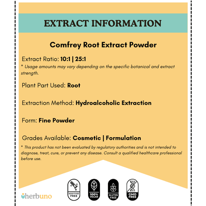 Comfrey Root Extract Powder - Symphytum officinale - Bulk Supplier India