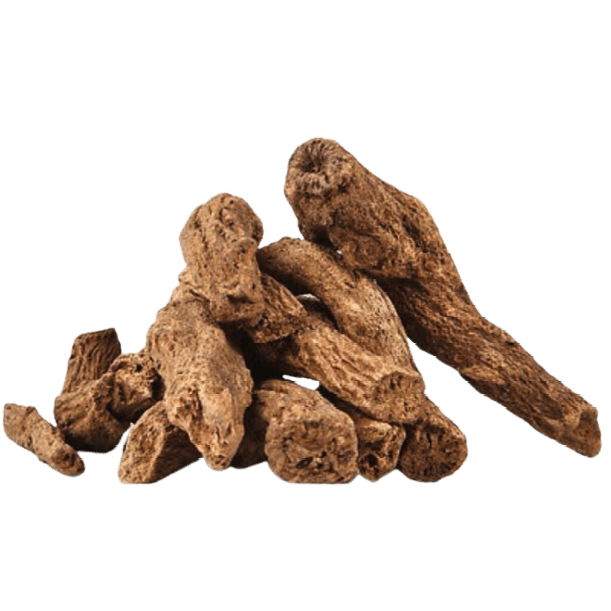 Costus Root Liquid Extract (Water Soluble) - Saussurea Lappa - Bulk Supplier India