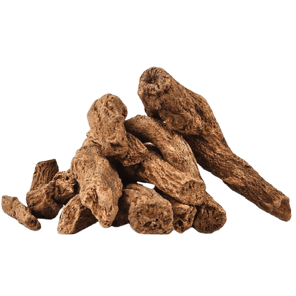 Costus Root Liquid Extract (Water Soluble) - Saussurea Lappa - Bulk Supplier India