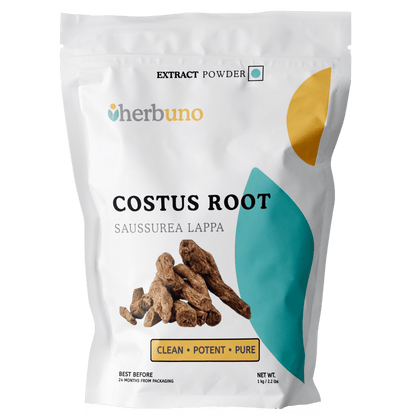 Costus Root Extract Powder - Saussurea Lappa - Bulk Supplier India