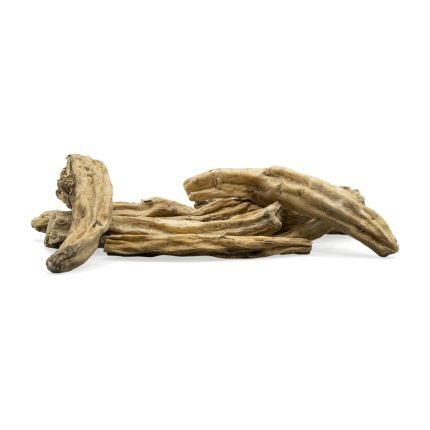 Bala Root Liquid Extract (Water Soluble) - Sida cordifolia - Bulk Supplier India