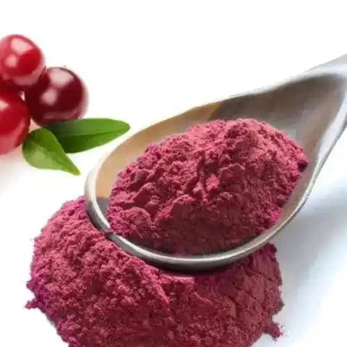 Cranberry Powder  - Bulk Supplier India  - shop_name
