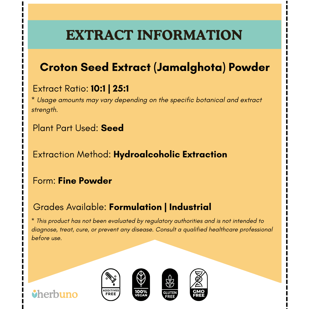 Croton Seed Extract (Jamalghota) Powder - Croton Tiglium - Bulk Supplier India
