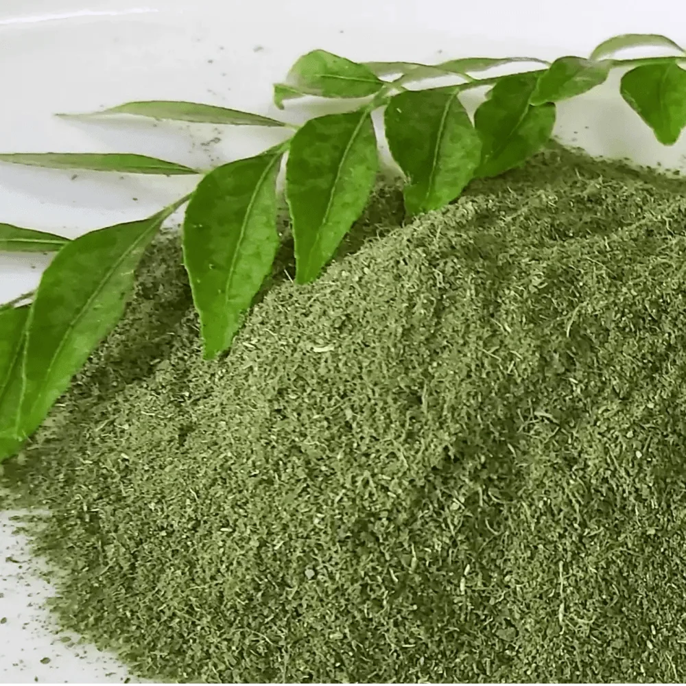 Curry Leaf Extract Powder | Kadi Patta - Bulk Supplier India