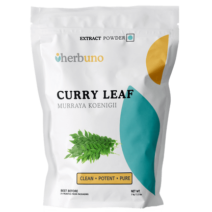 Curry Leaf Extract Powder | Kadi Patta - Bulk Supplier India