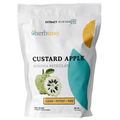 Custard Apple Fruit Extract Powder - Annona reticulata| Ramphal Powder - Bulk Supplier India